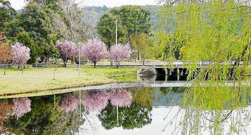 Stanthorpe has won Queensland’s Tidy Town award for 2010. Stanthorpe has won Queensland’s Tidy Town award for 2010.